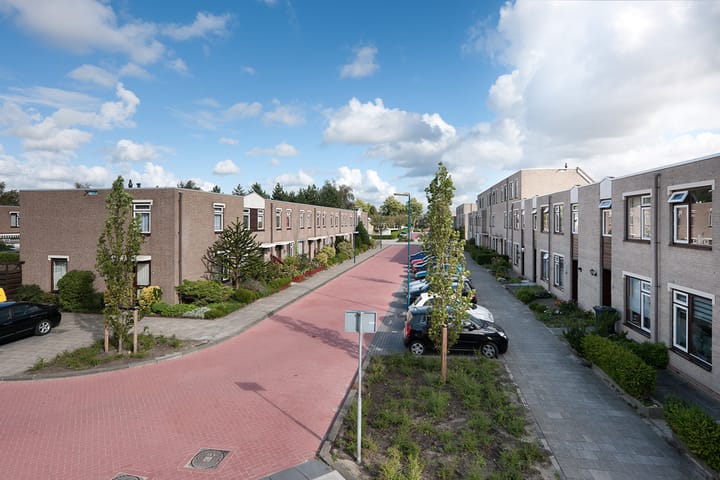 Foto 2 van Safarigeel 27