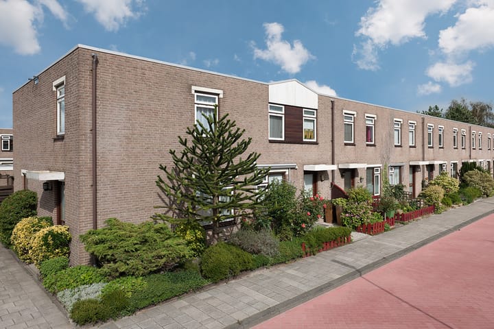 Foto 3 van Safarigeel 27