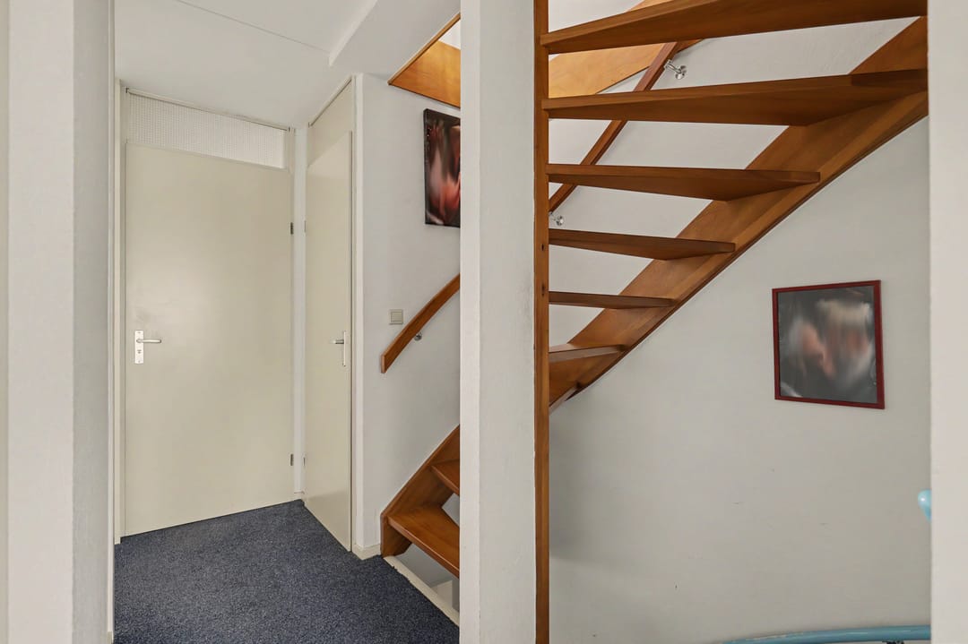 Photo 23 of Palissander 60