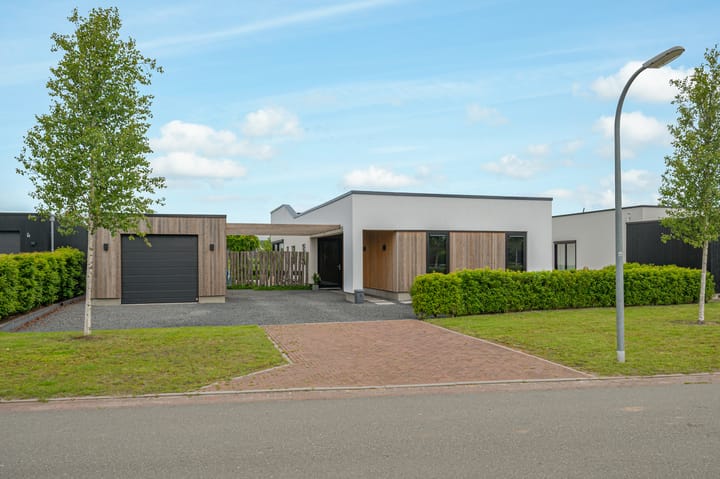 Foto 4 van Misthoorn 5