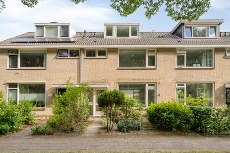 Oosterlaan thumbnail