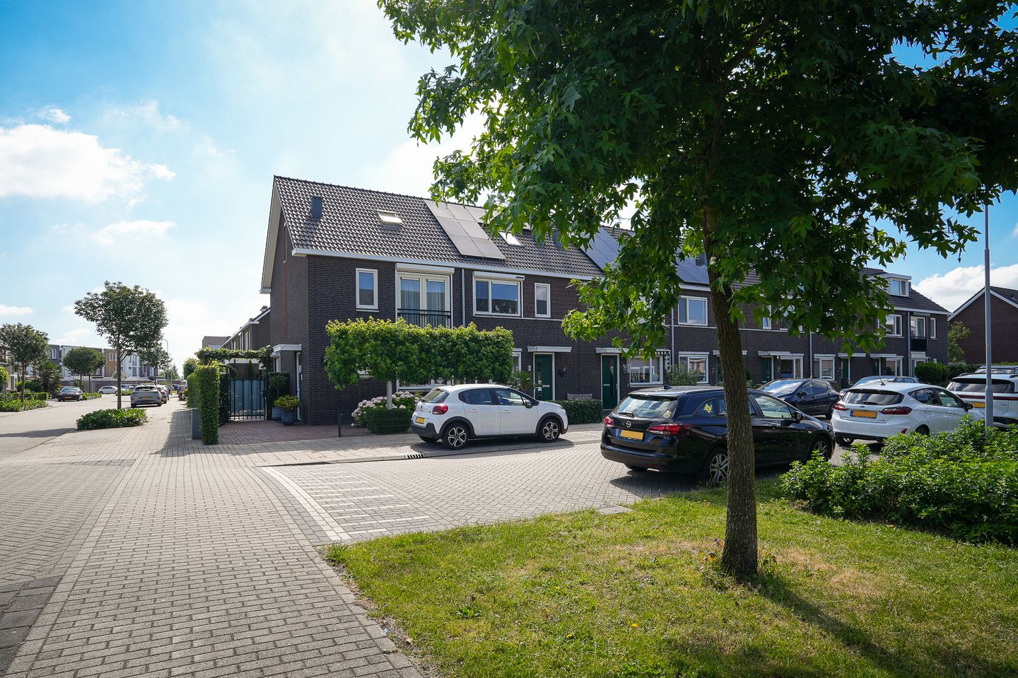 Foto 44 van Aardbeivlinder 43