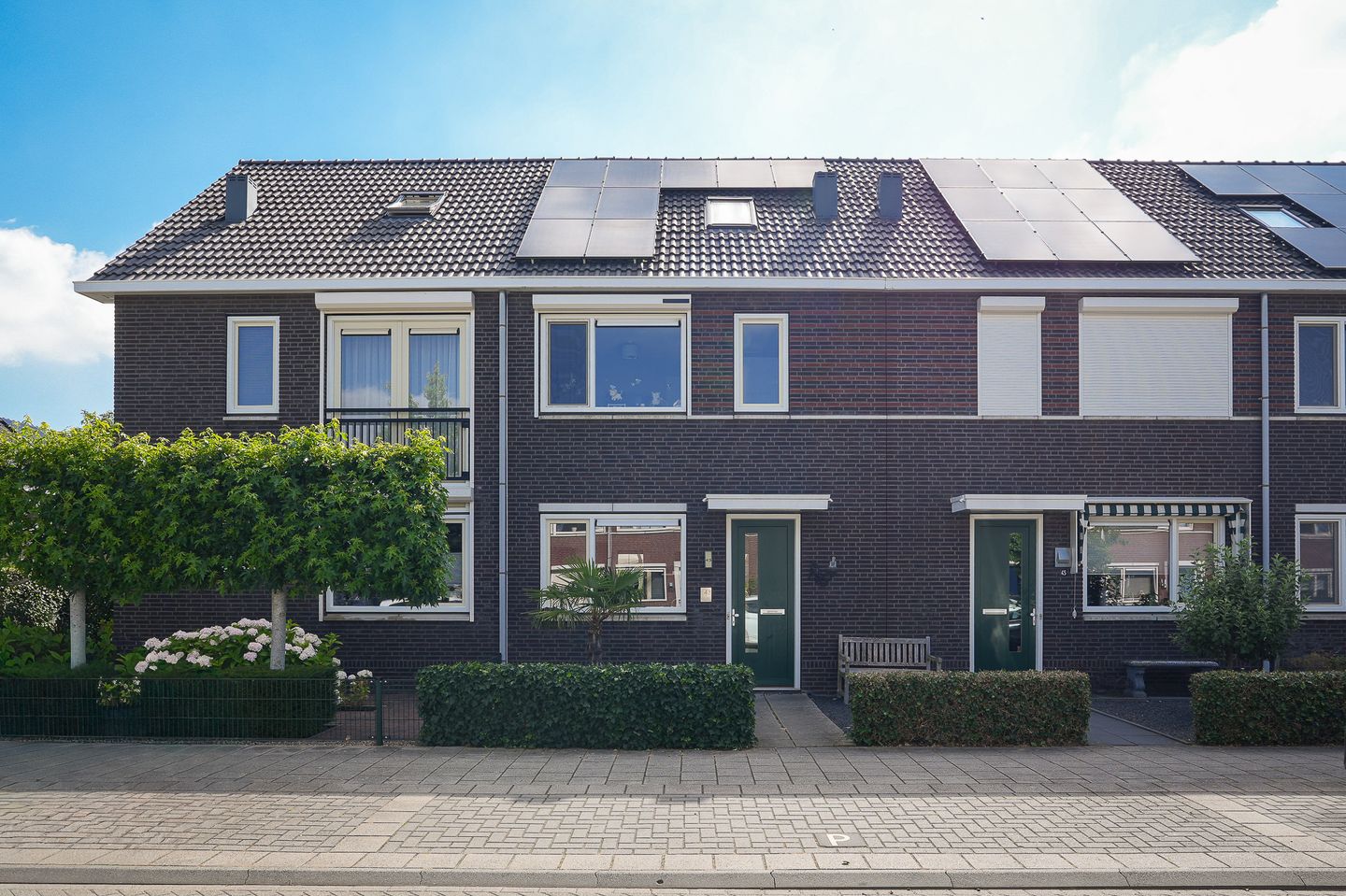 Foto 1 van Aardbeivlinder 43