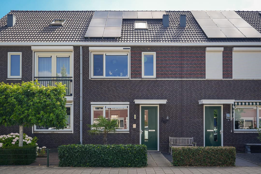Foto 43 van Aardbeivlinder 43