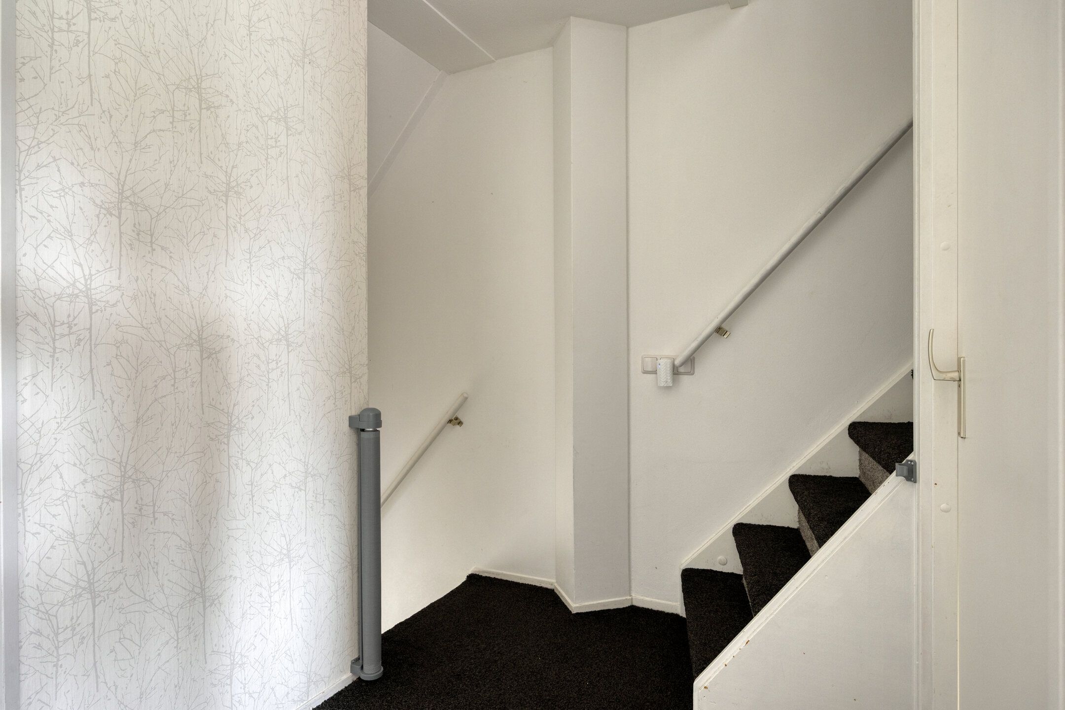 Photo 18 of Coulisse 50