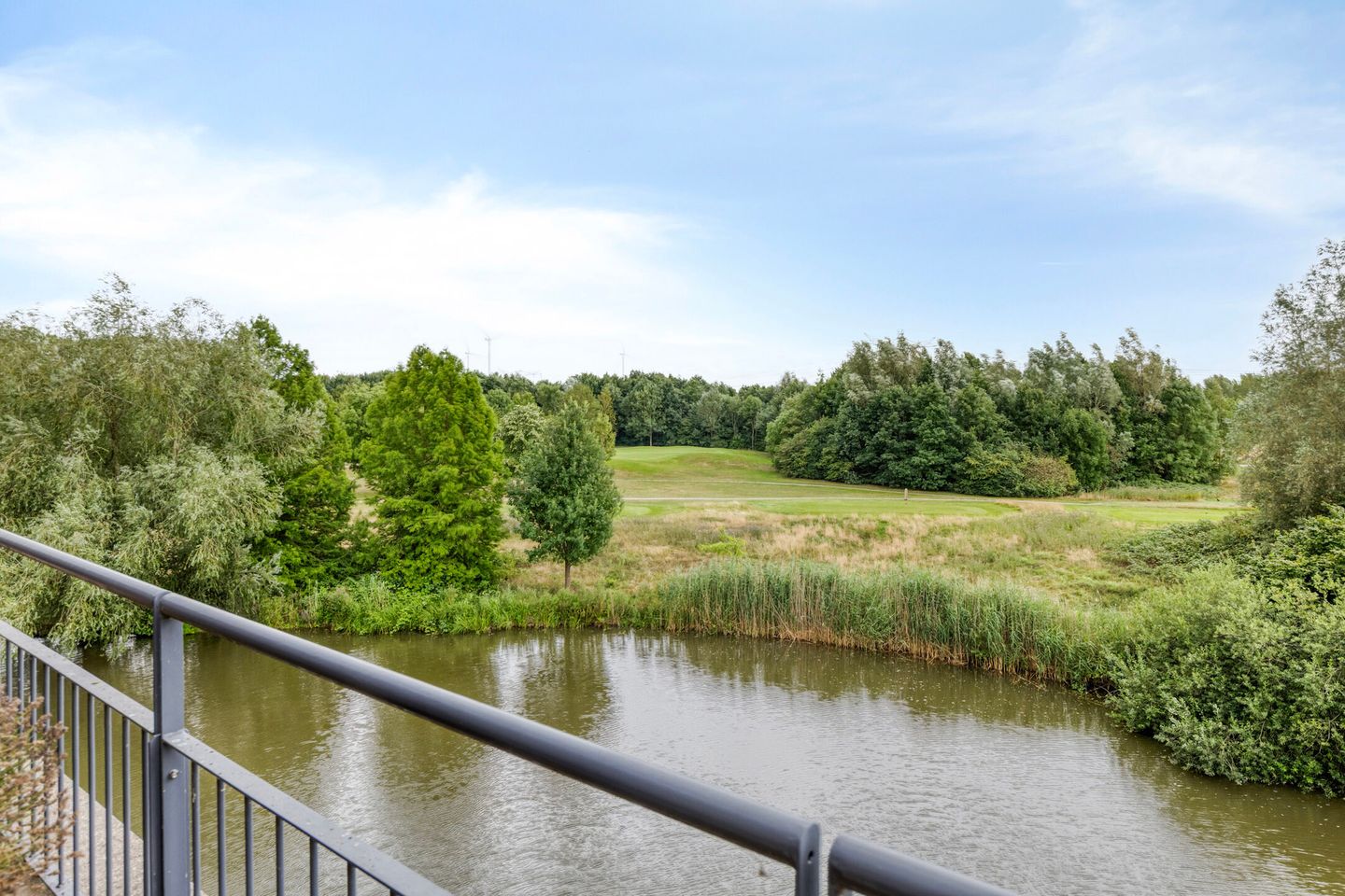 Photo 80 of Zwaenenstede 6