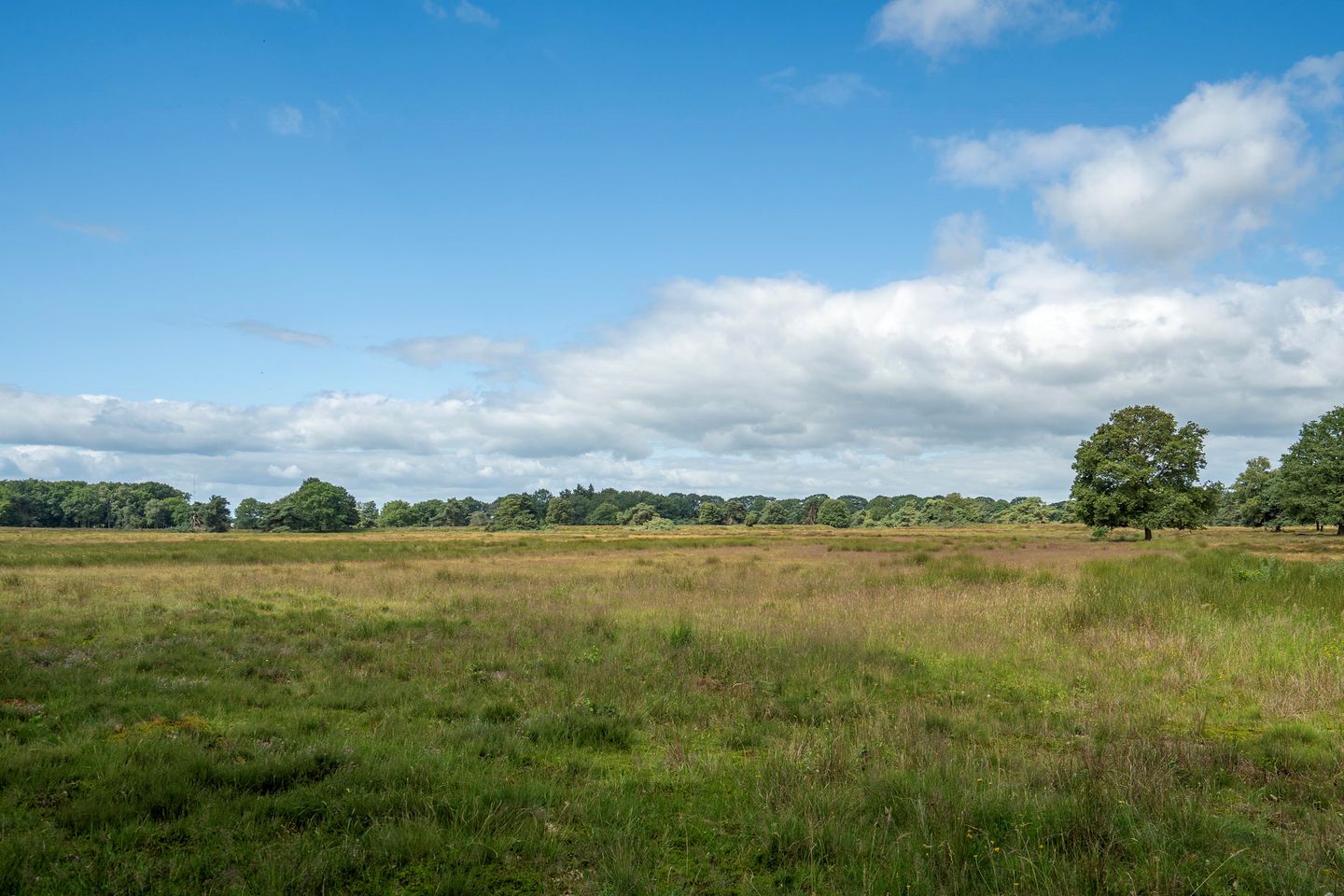 Photo 40 of Hendrik Reindersweg 28-83
