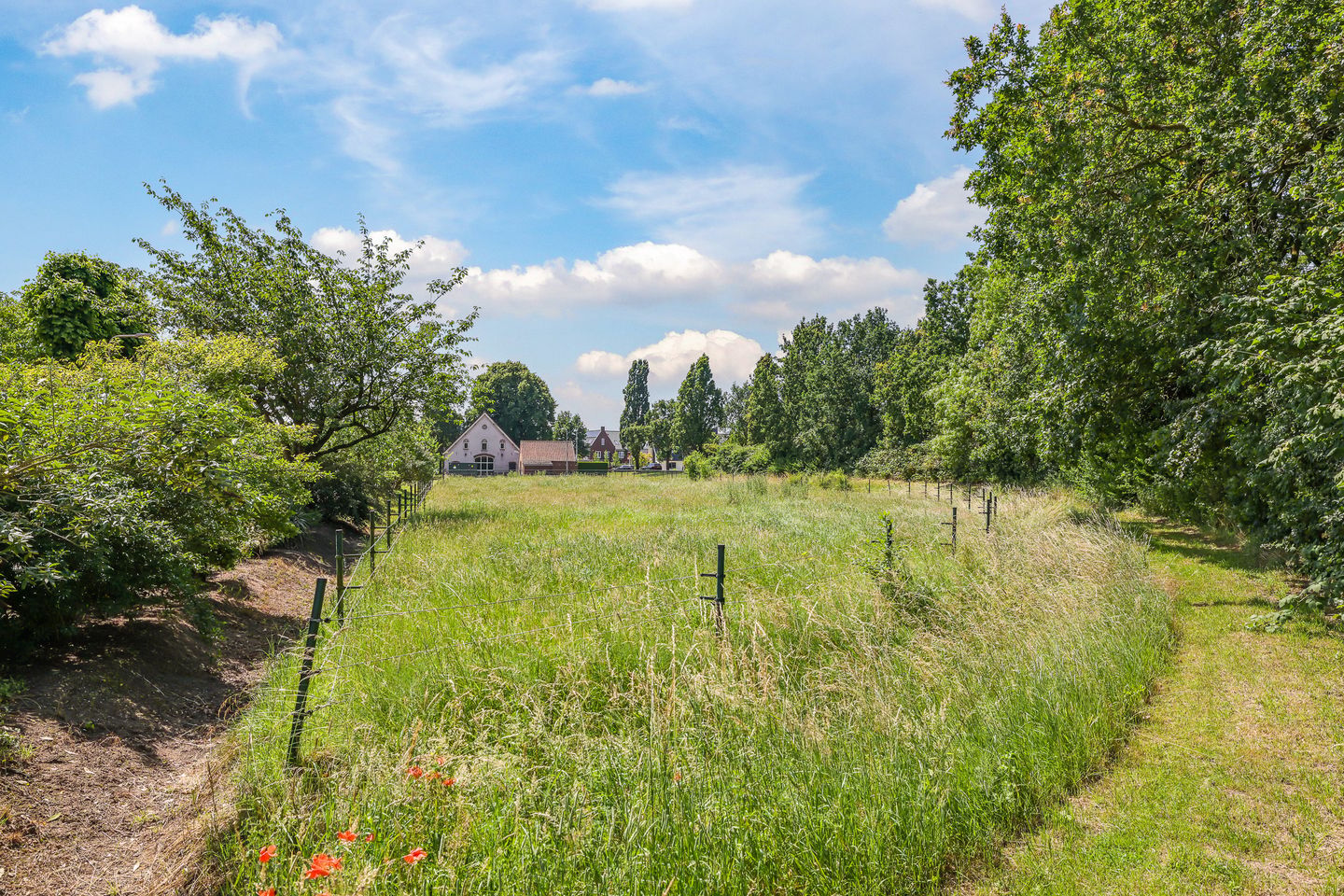 Photo 55 of de Plak 80