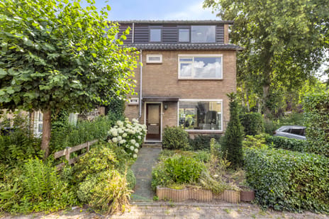 Roemer Visscherstraat thumbnail
