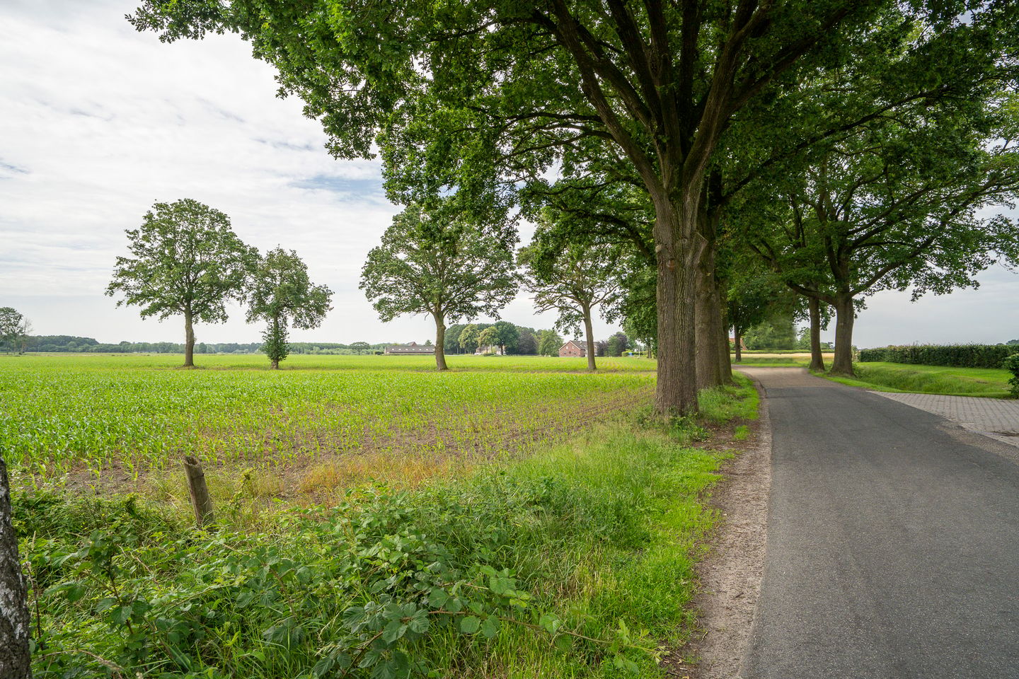 Foto 14 van Beek 4