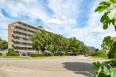 Hobokenstraat thumbnail