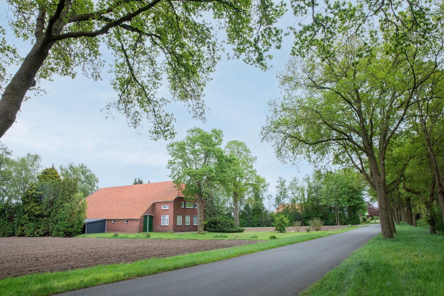 Bekijk foto 3 van Wedderstraat 84