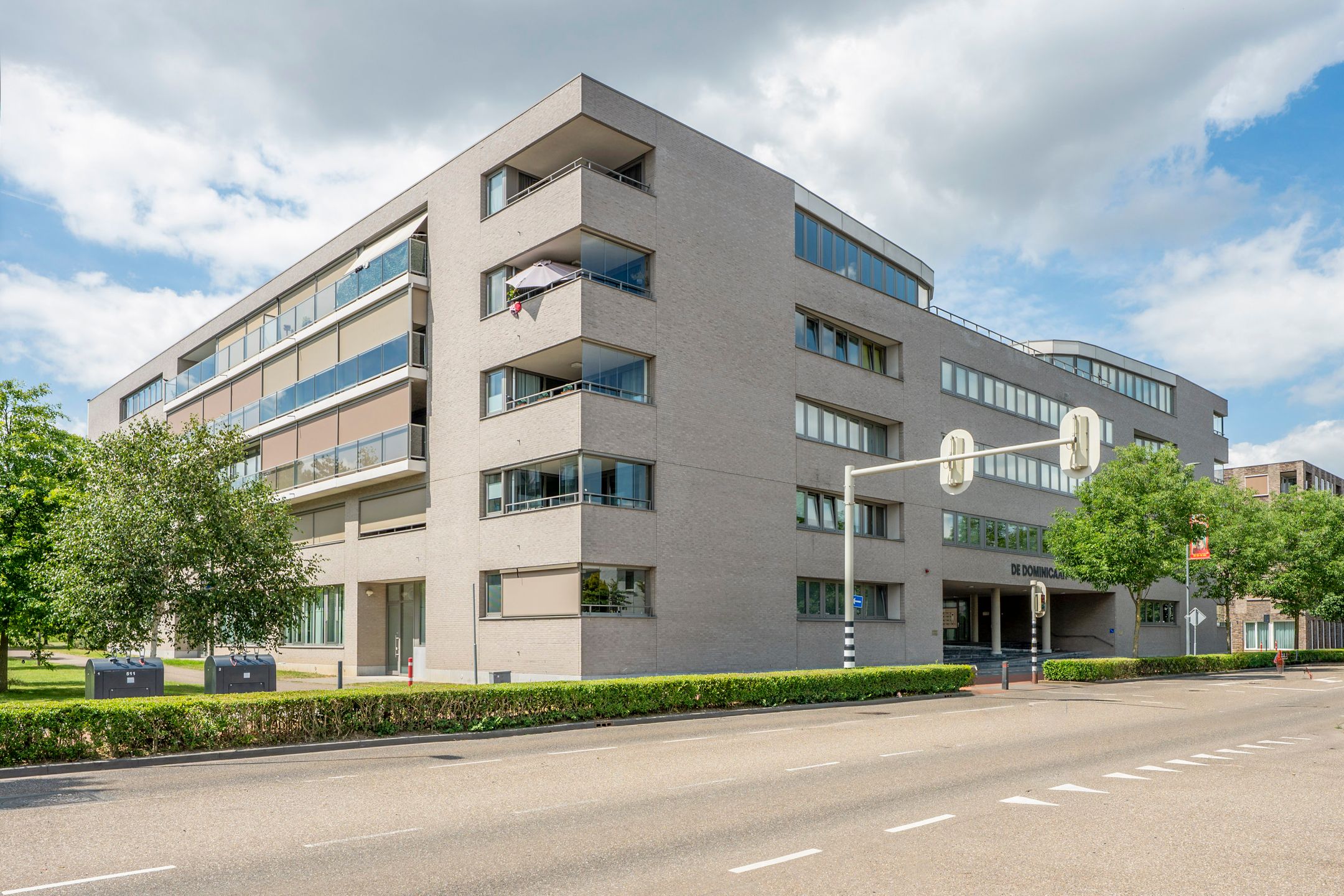 Odasingel 499 