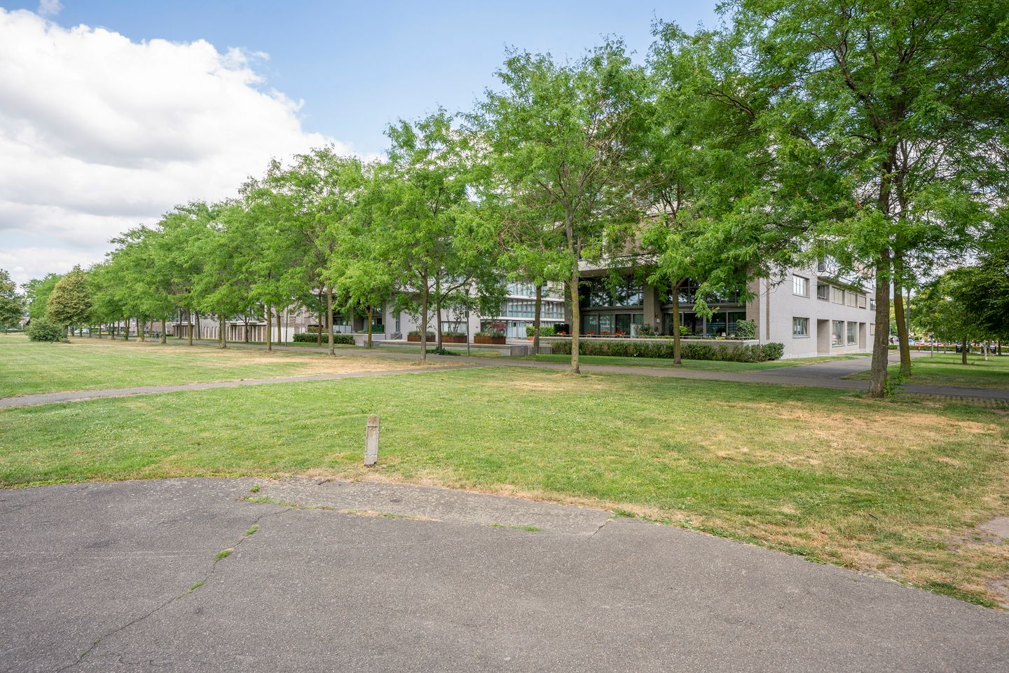 Photo 40 of Odasingel 499