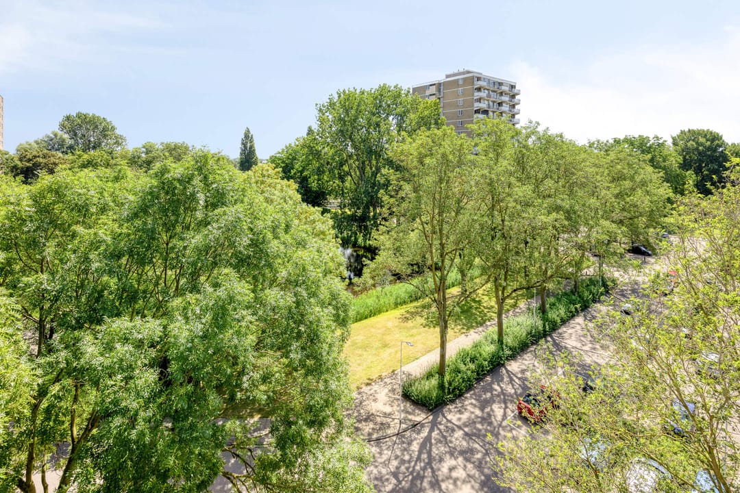 Photo 32 of Graaf Janstraat 91