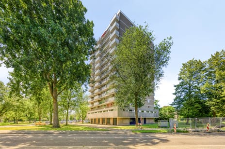 Graaf Janstraat thumbnail