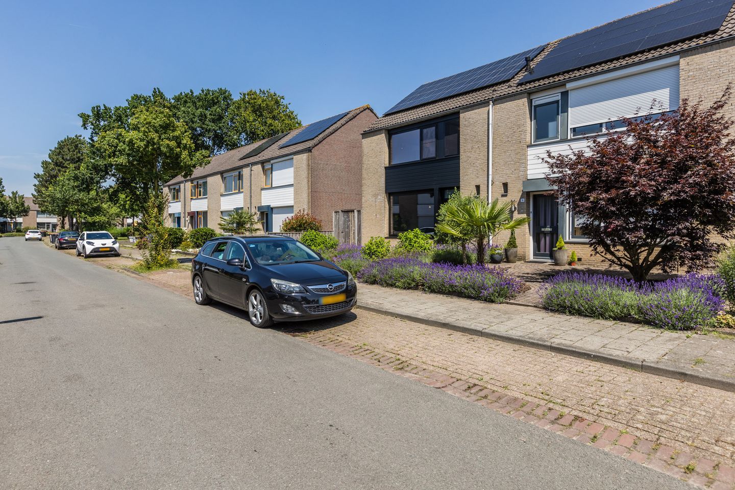 Photo 44 of Schimmelpenninckstraat 16