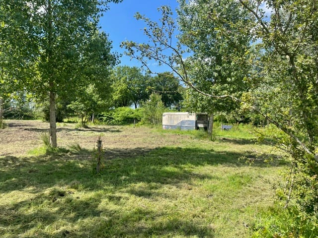 Foto 77 van Halerweg 13-B