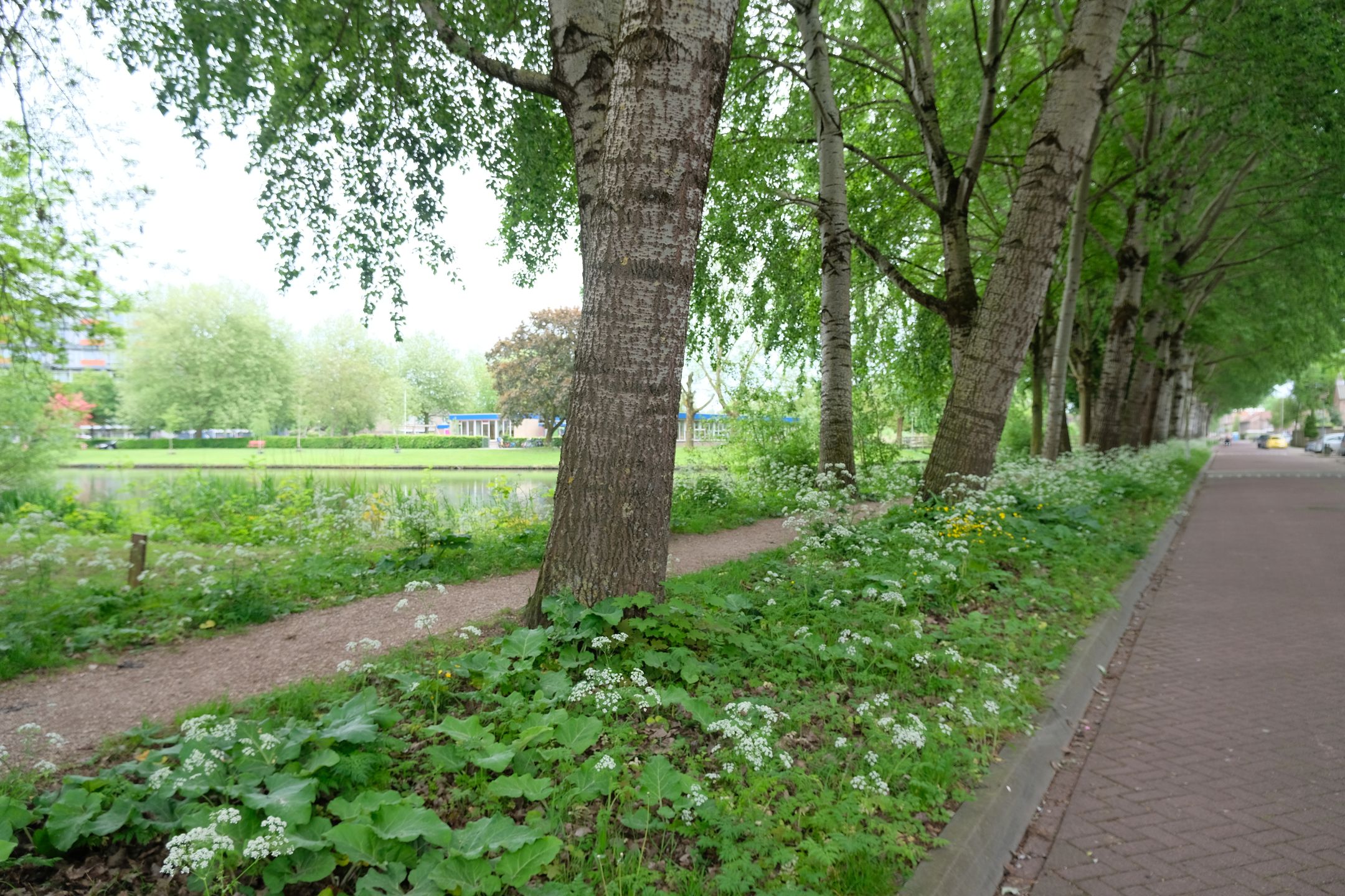 Photo 12 of Parklaan 129
