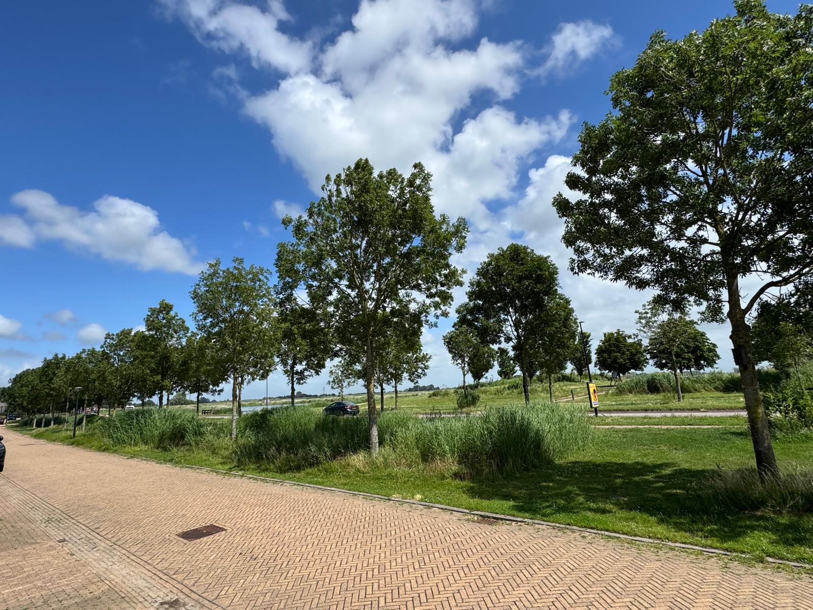Foto 3 van De Ielreager 63