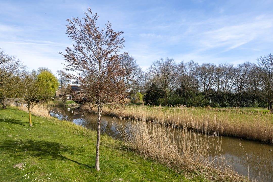 Foto 2 van Windjammer 26