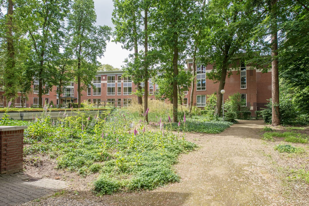 Foto 22 van Bloemendalsweg 11-F20