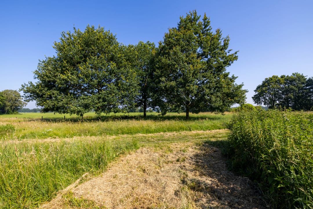 Photo 32 of Rensumaborg 32