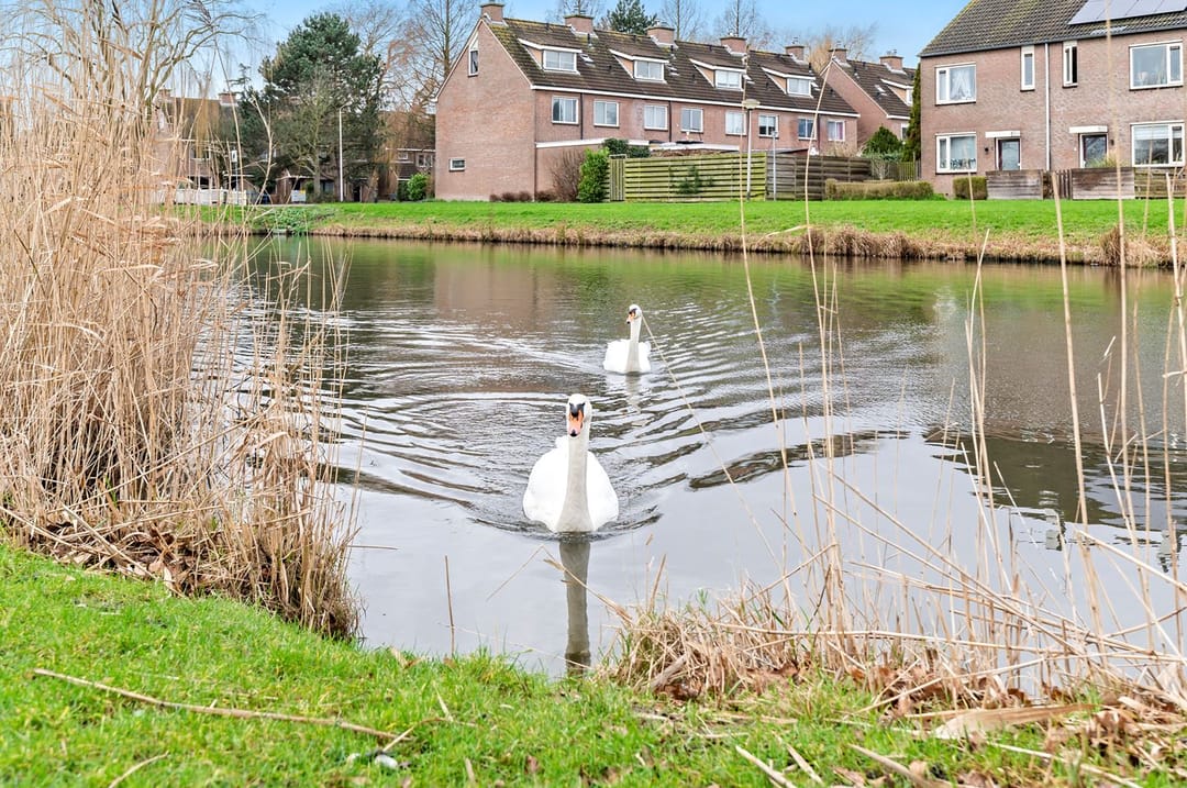 Photo 37 of Zegge 14