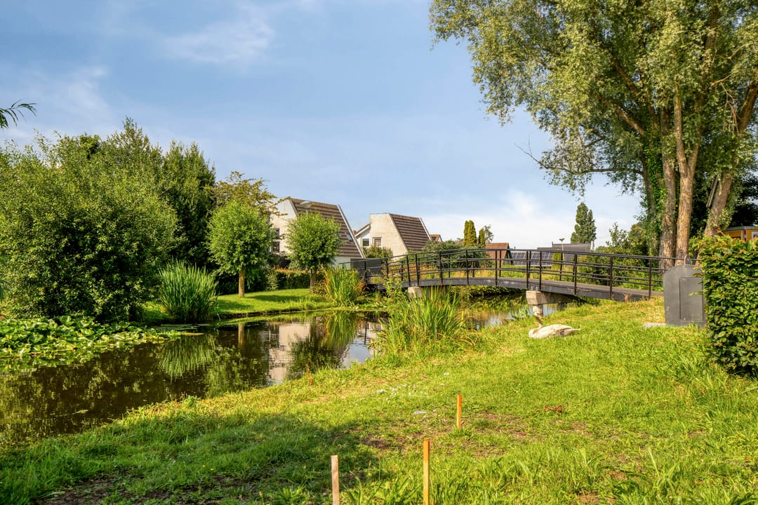 Photo 26 of Zijde 354