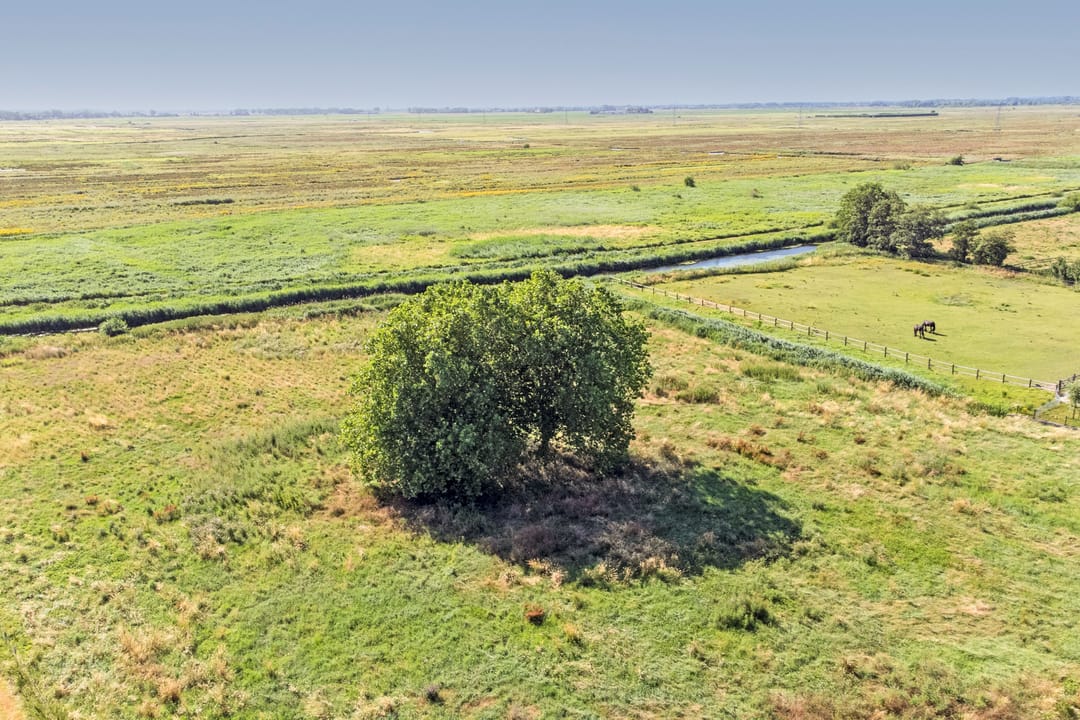 Foto 46 van Keizersdijk 9