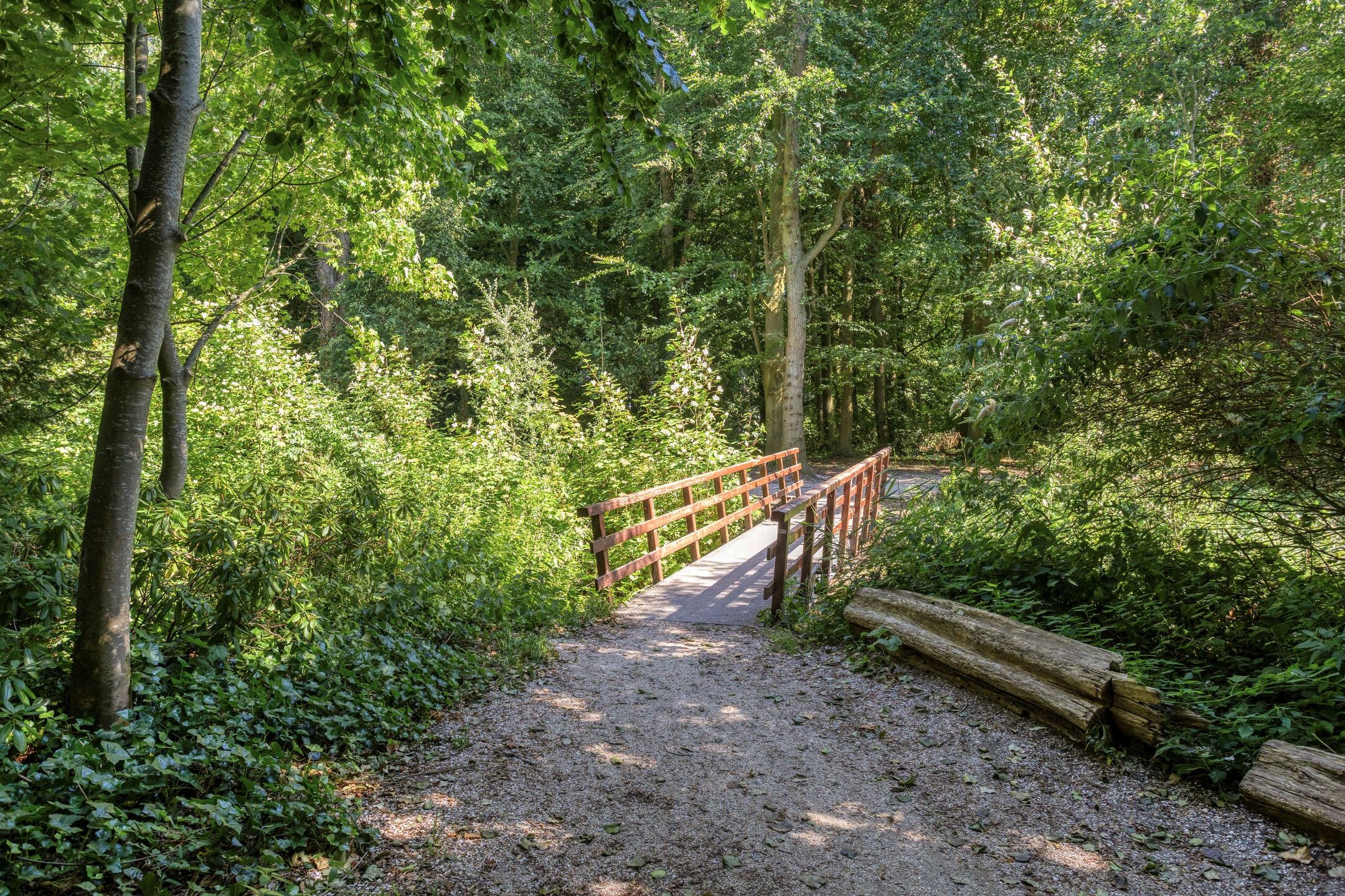 Photo 39 of Duinzichtstraat 24