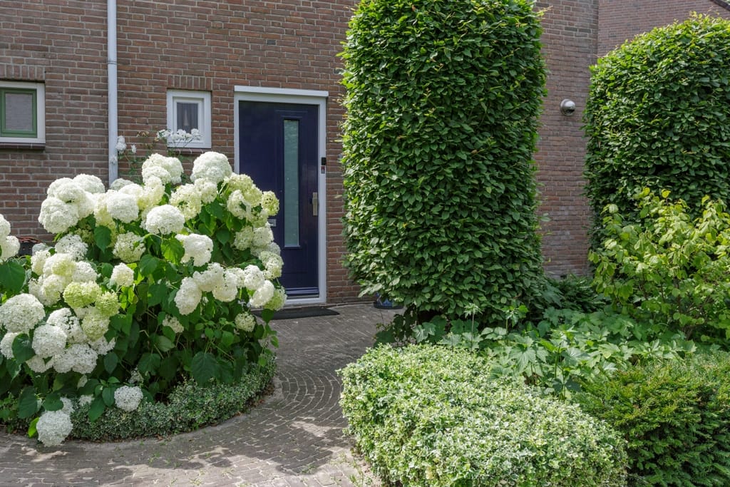 Foto 2 van Graanhoeve 1