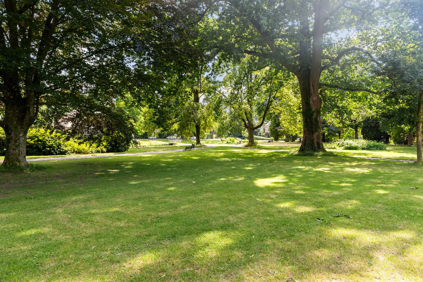 Photo 29 of Wilhelminapark 25