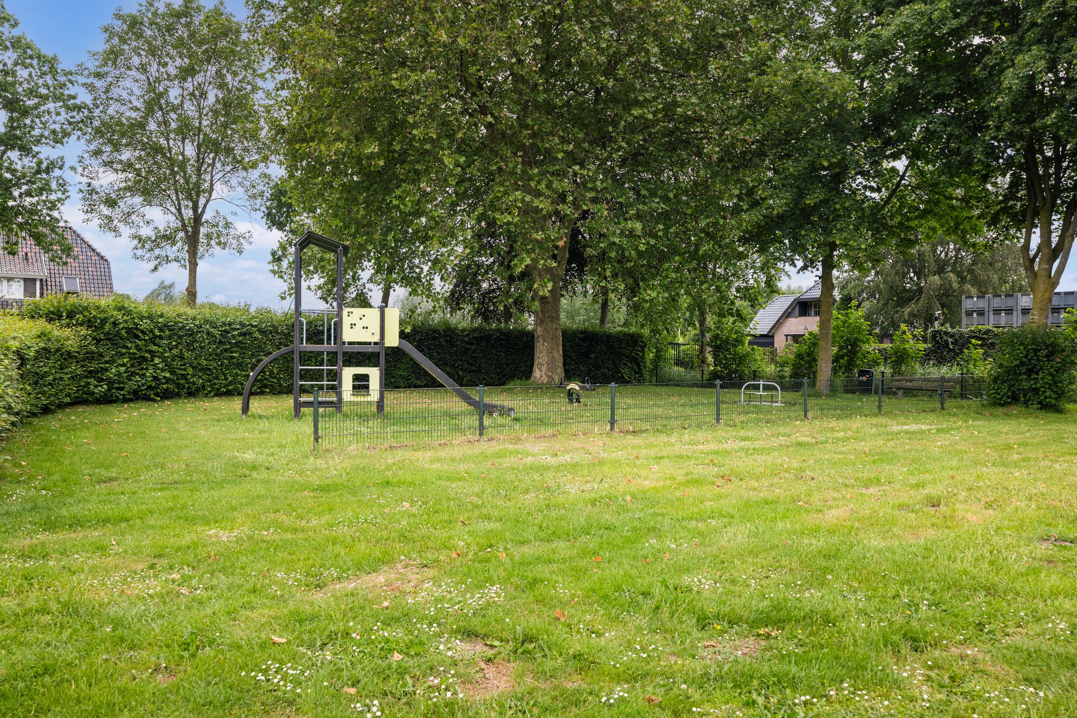 Foto 42 van Houtduif 3