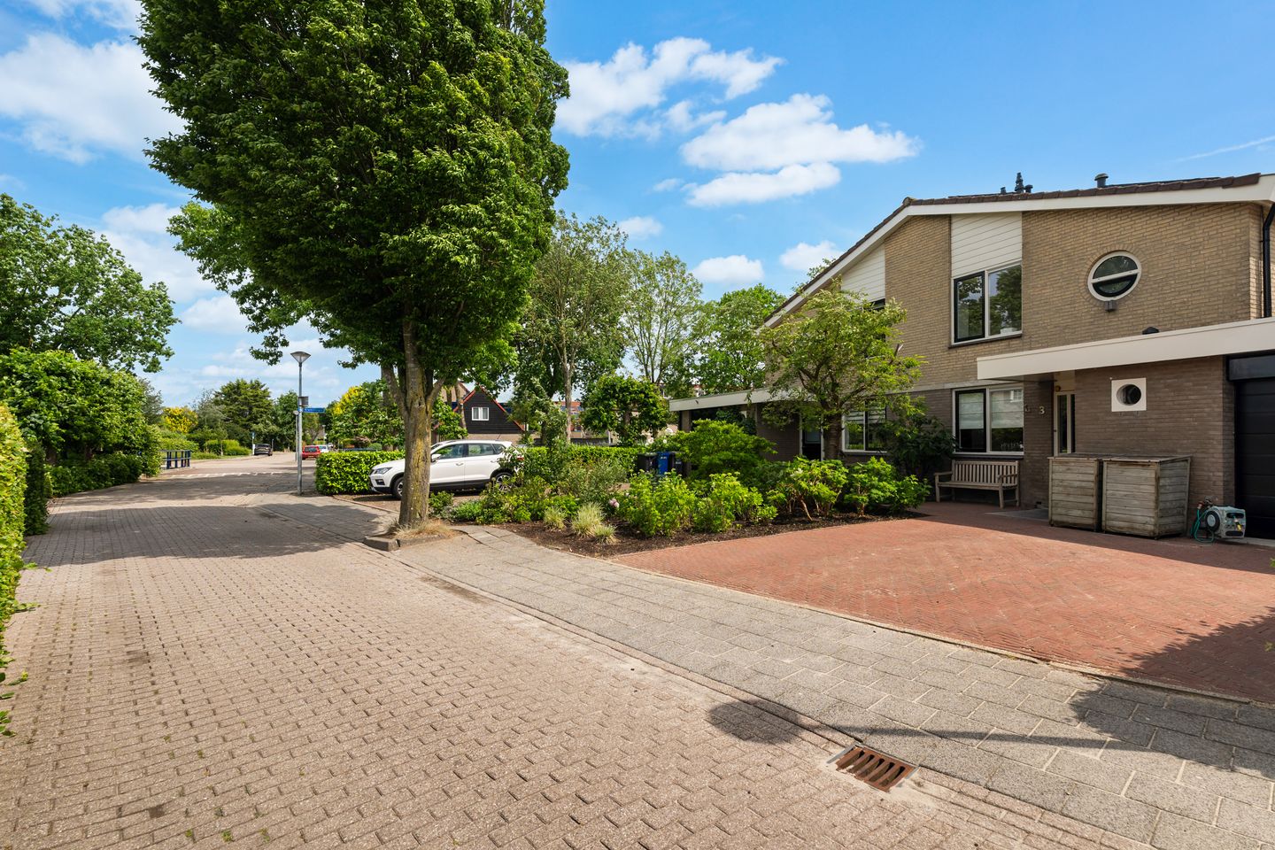 Foto 44 van Houtduif 3