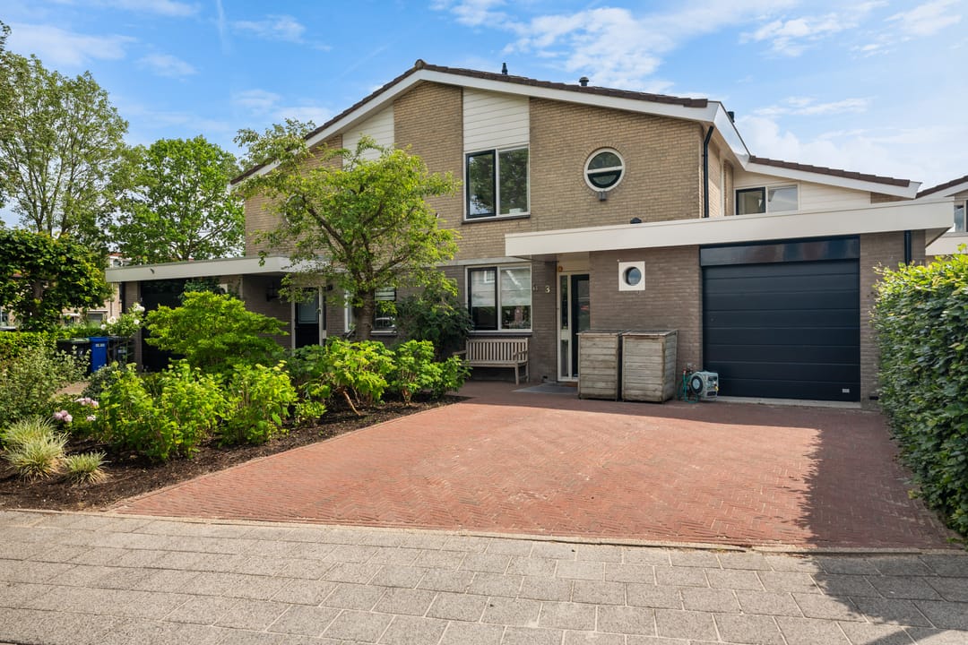 Foto 1 van Houtduif 3