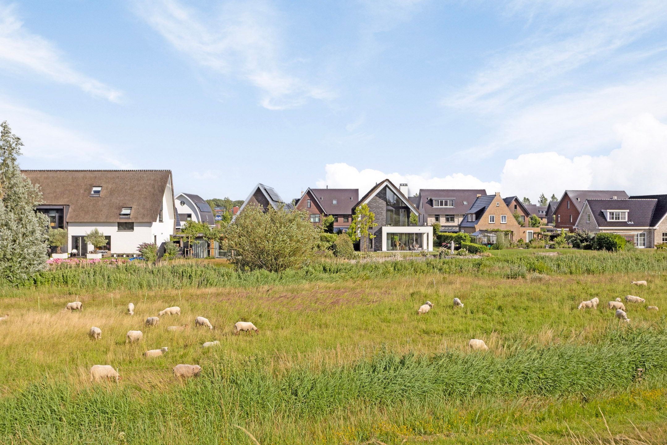 Photo 78 of Vrederiksakker 13