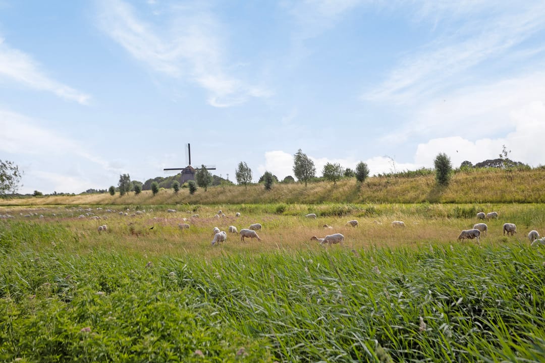 Photo 77 of Vrederiksakker 13