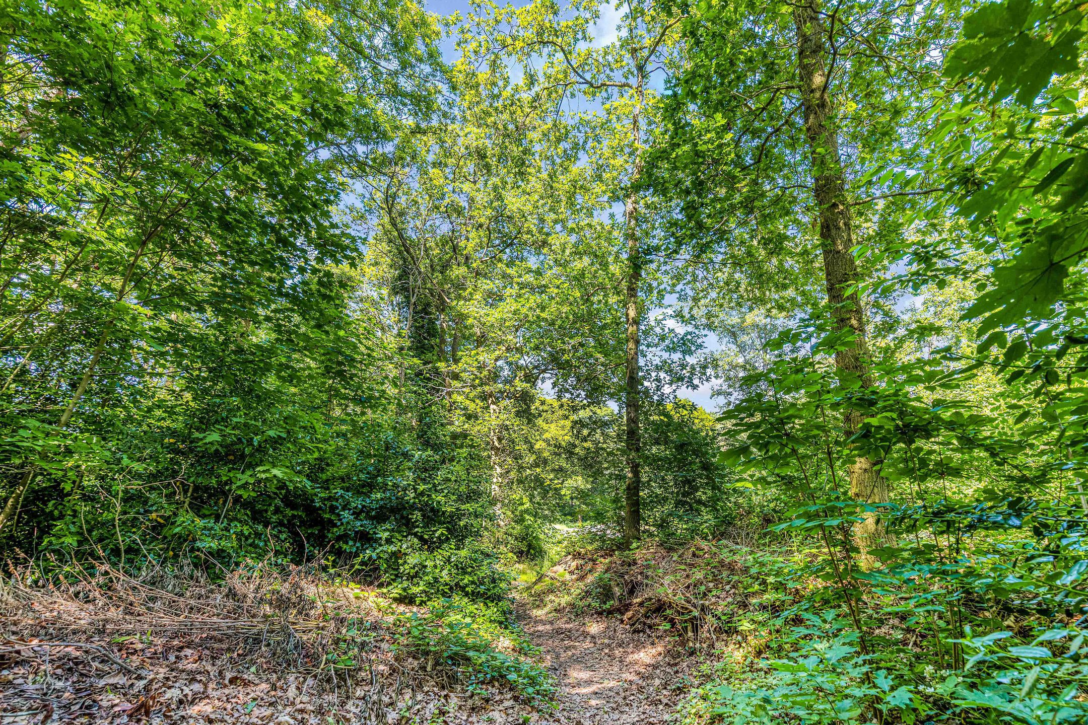 Foto 45 van Bisschopsbergweg 35