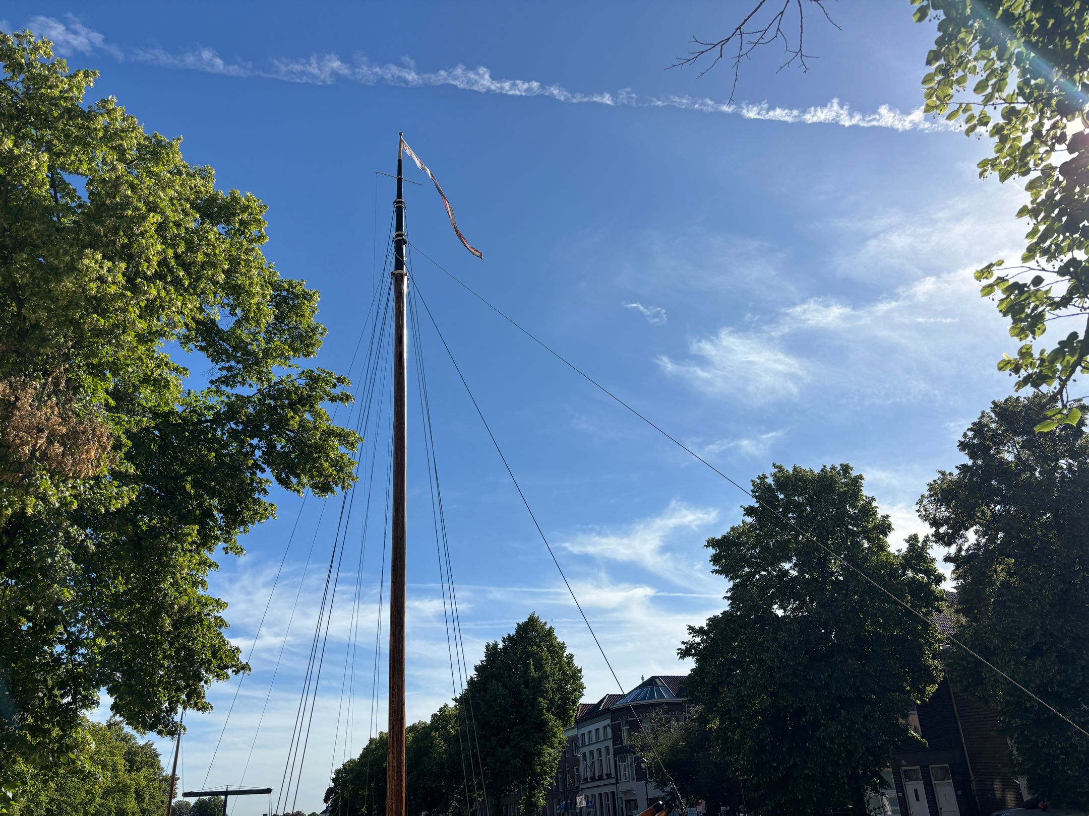 Photo 42 of Brede Haven 41