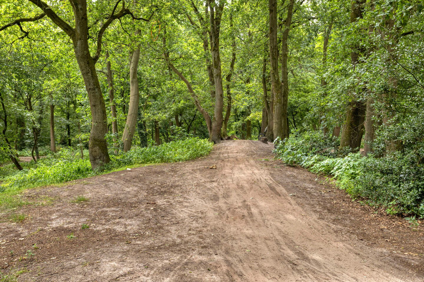 Photo 34 of Beugelhoek 11