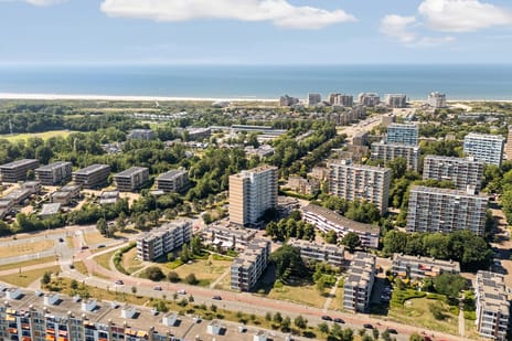 Teunisbloemplein thumbnail