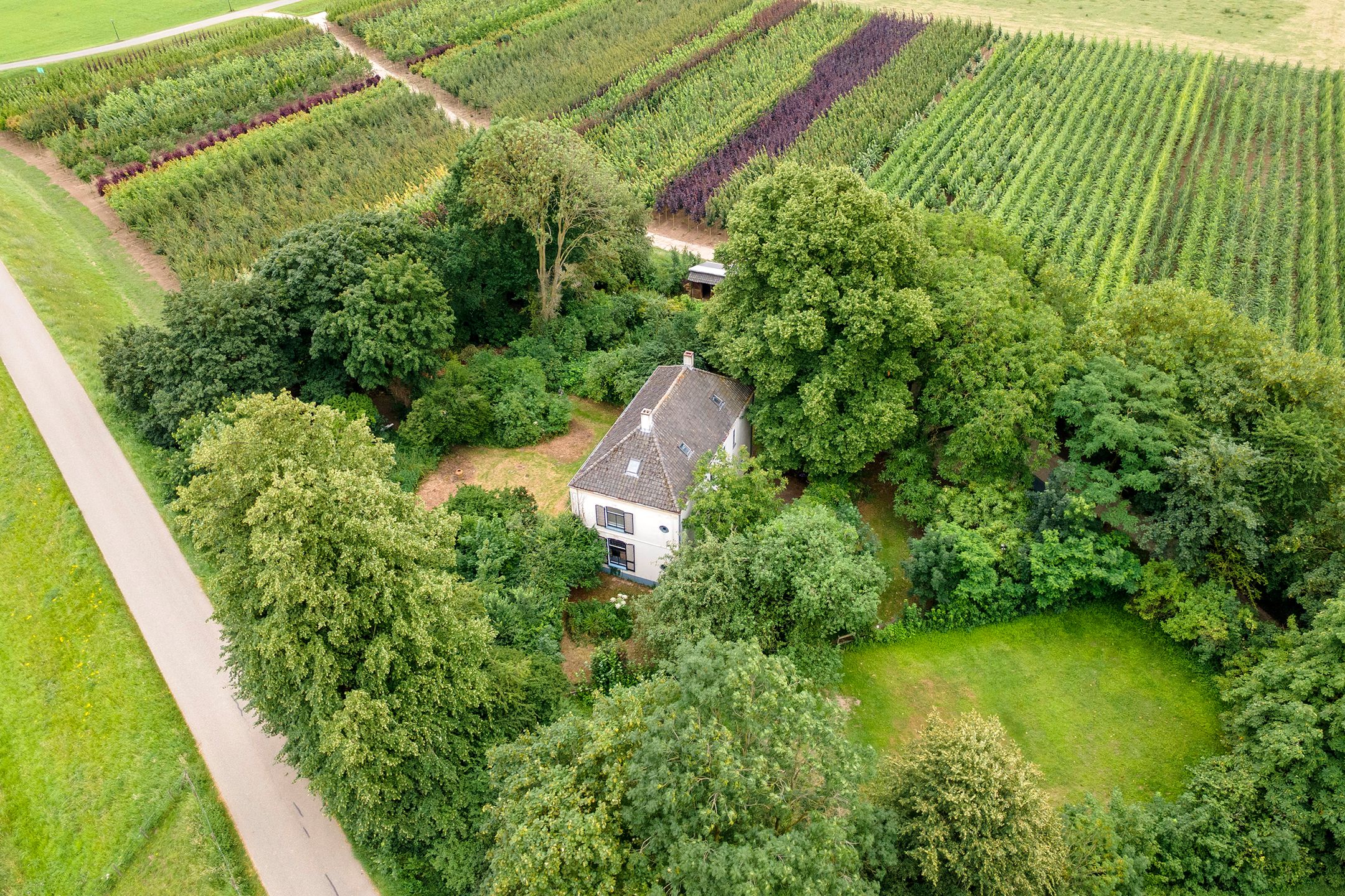 Foto 102 van Rijnbandijk 151