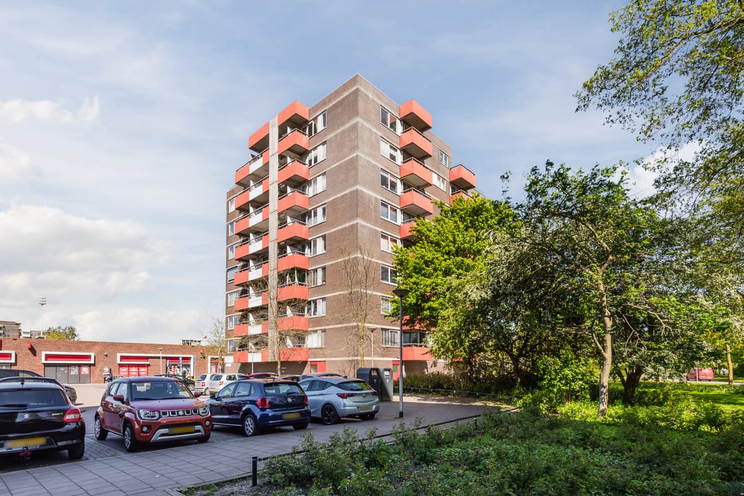 Photo 31 of Zilverschoon 52