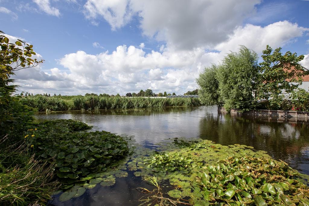 Photo 35 of Loeteweg 1