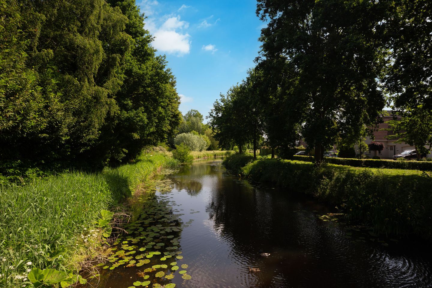 Photo 5 of Leeuwerik 65
