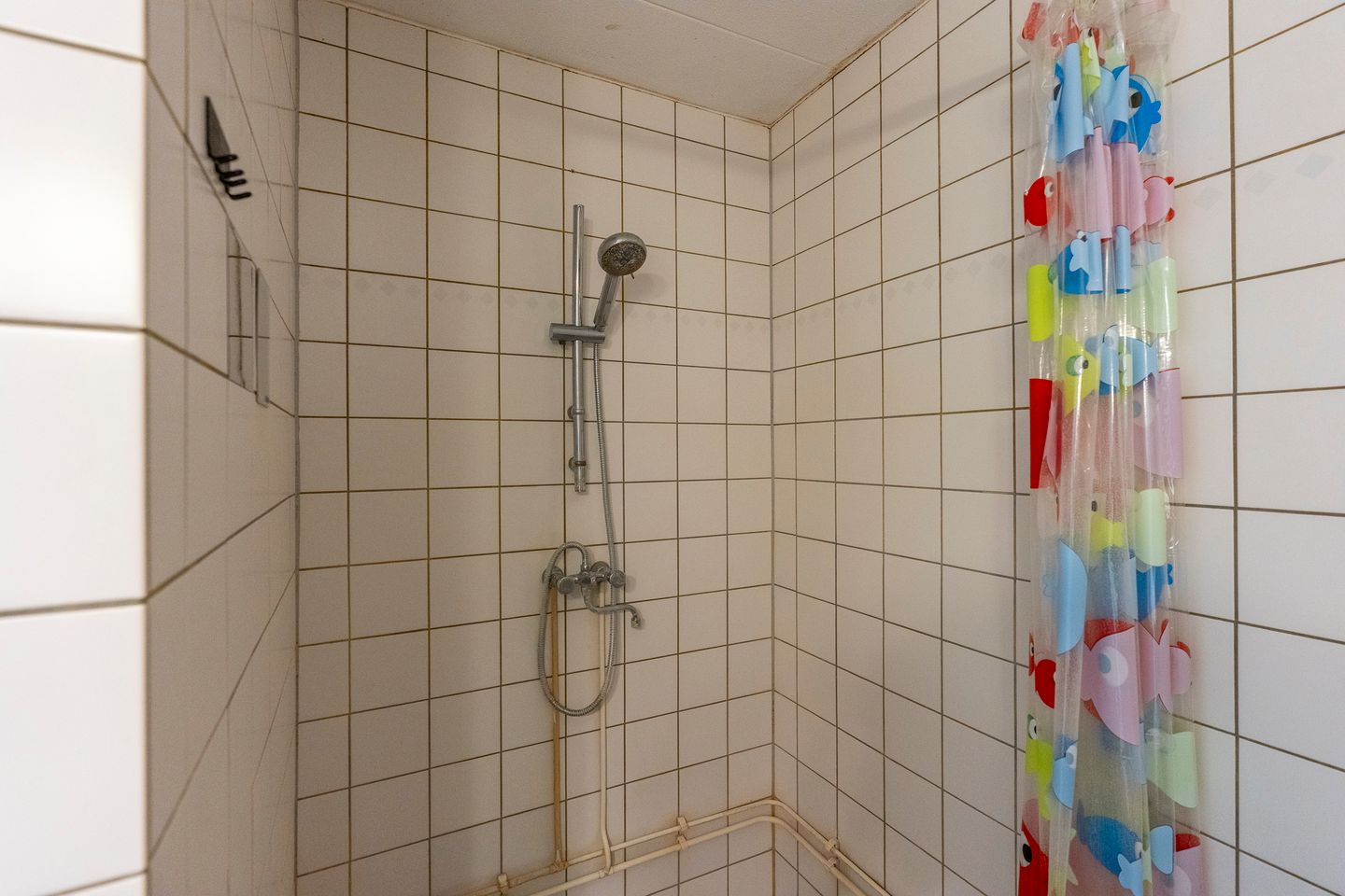 Photo 35 of Antilopespoor 387