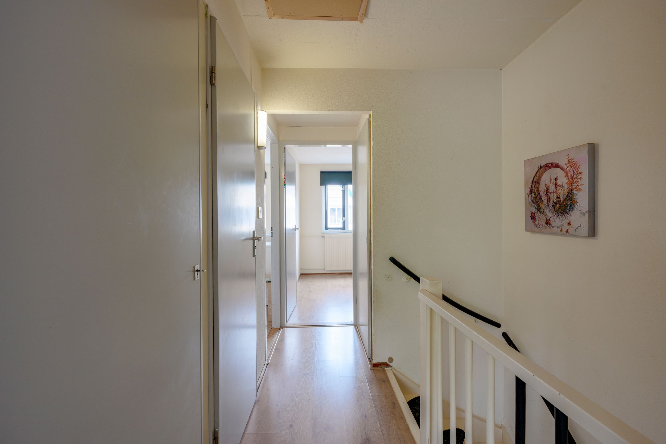 Photo 33 of Antilopespoor 387