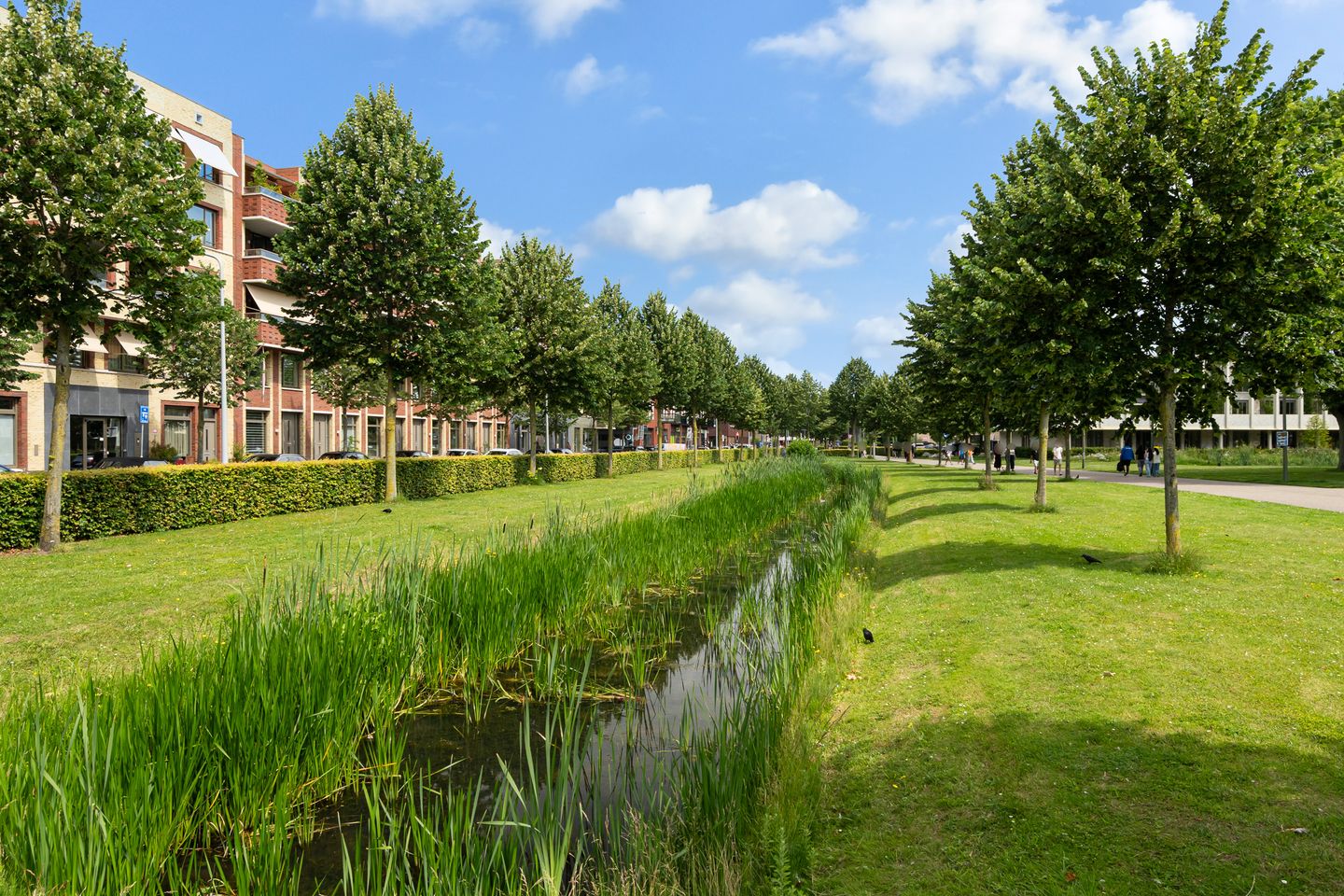 Photo 49 of Max Gootelaan 39