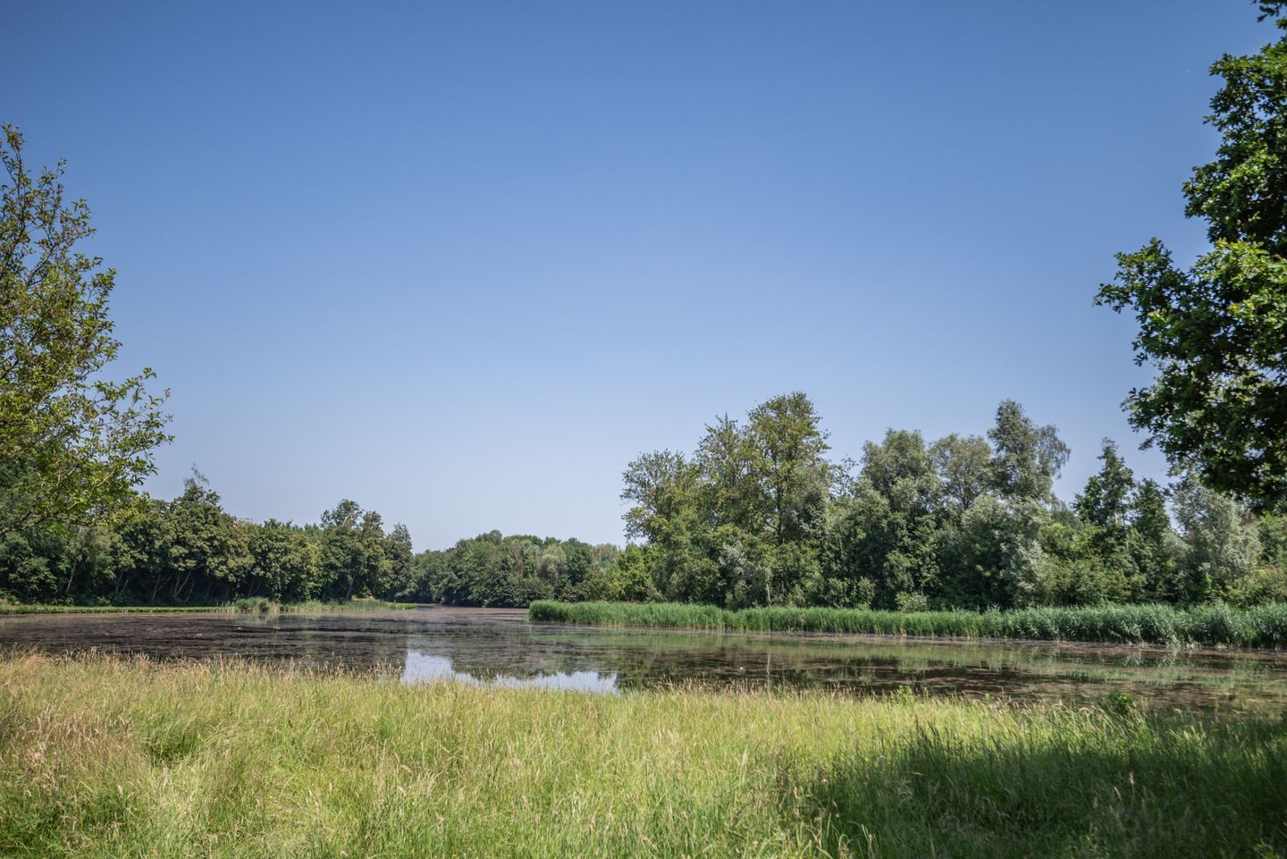 Photo 49 of Beukenlaan 247